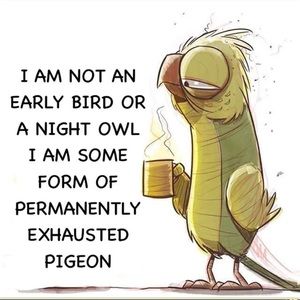 Meet your Posher, Daniel